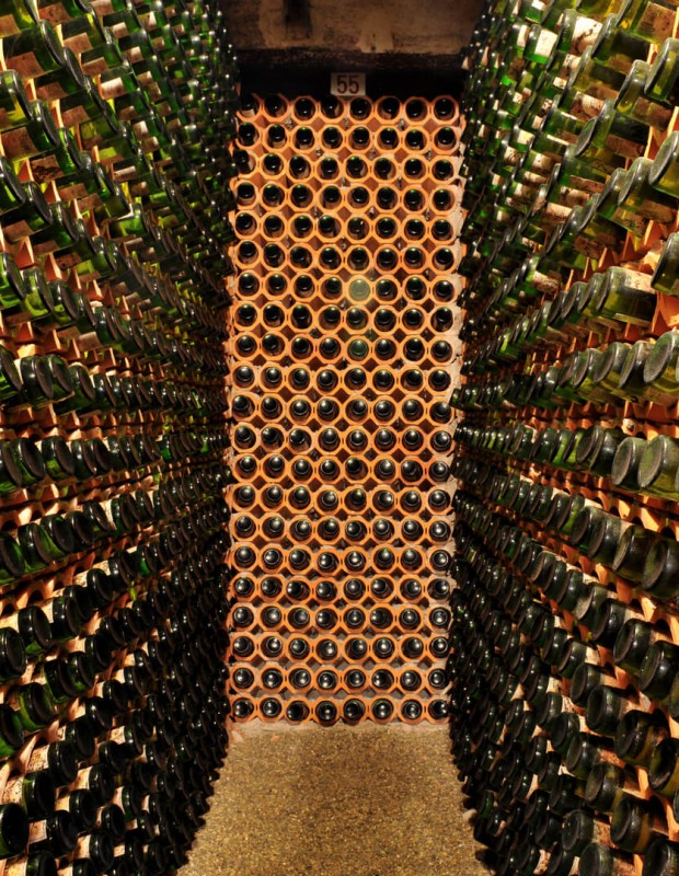 Draskovic vinarija 1