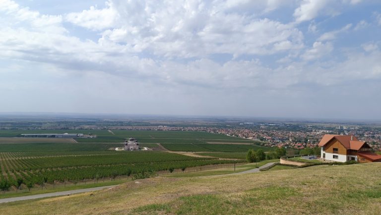 Draskovic vinarija 10 768x434