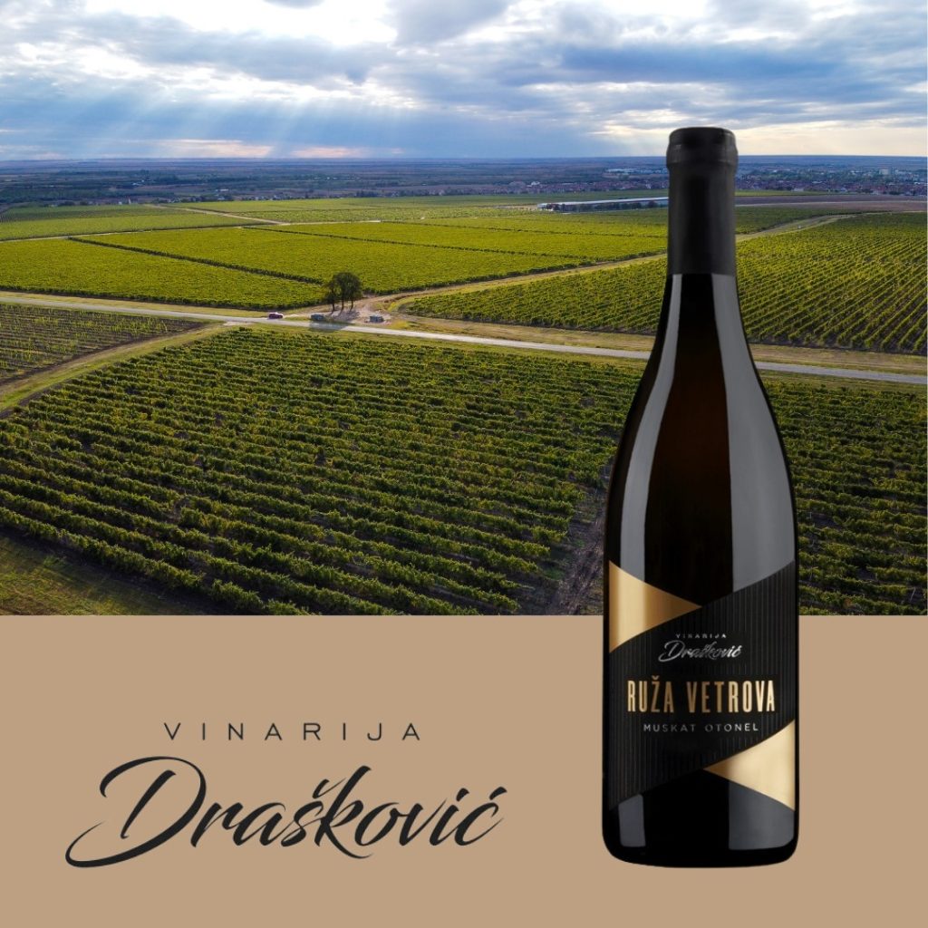 Draskovic vinarija 2 1024x1024