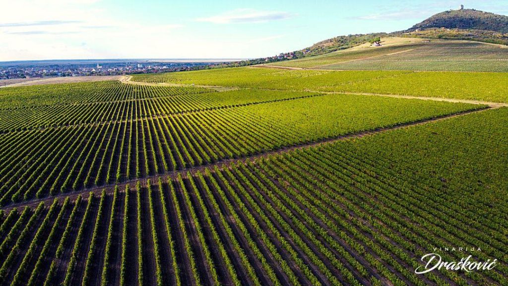 Draskovic vinarija 7 1024x576