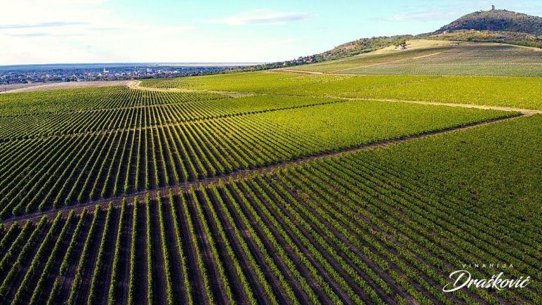 Draskovic vinarija 7 768x432