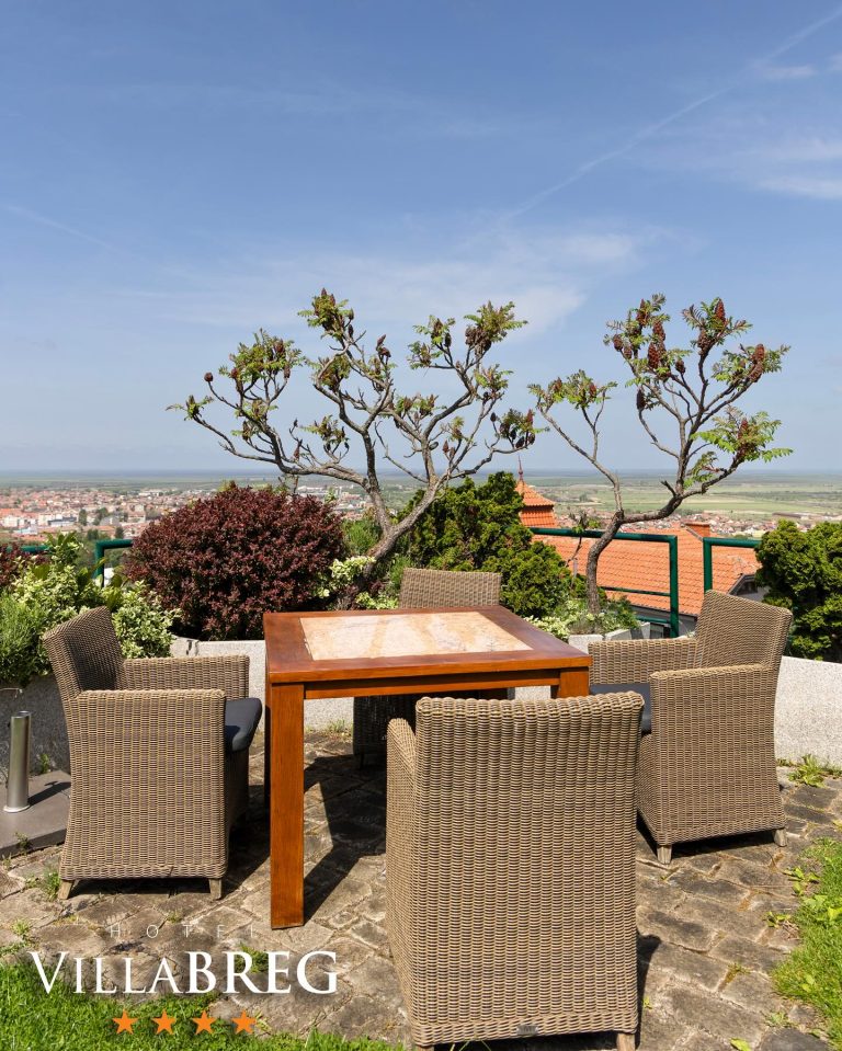 Hotel Villa Breg 9 768x959