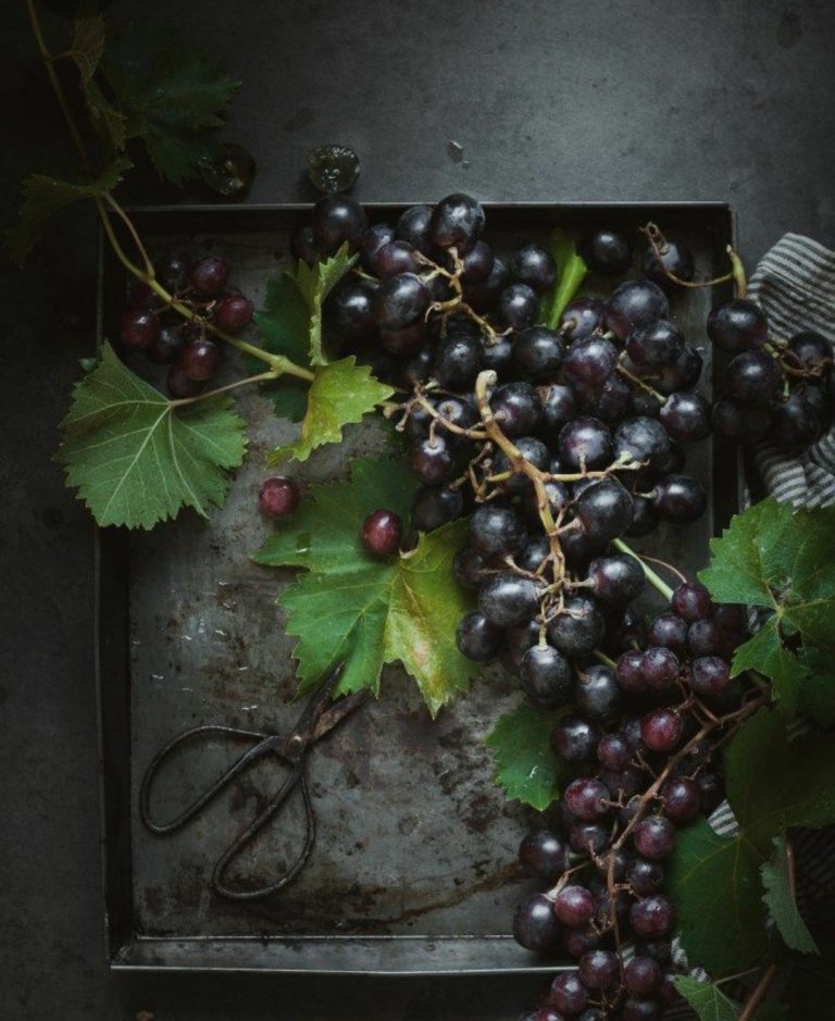 Kuca vina RAB 5 768x939