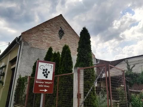 Misic vinarija 1