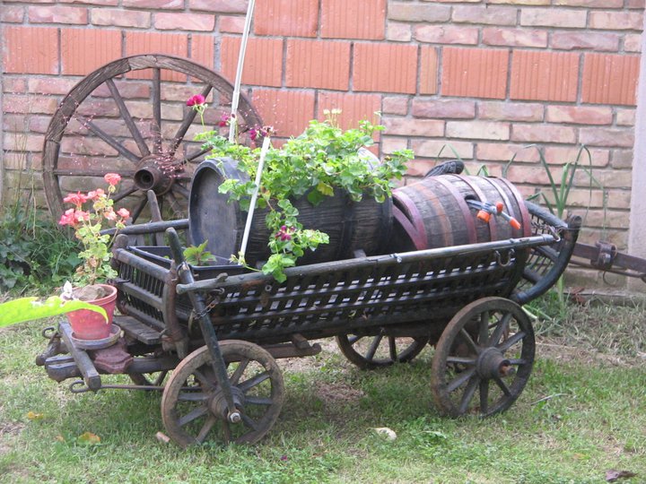 Nedin vinarija 4
